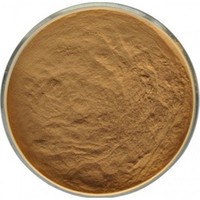 Uva Ursi Leaf Extract Powder HPLC20%