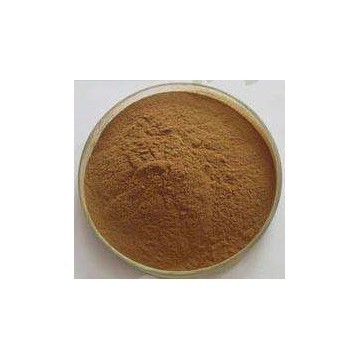 Epimedium Extract Powder HPLC 10%
