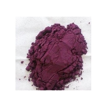 Bilberry Extract Powder UV 25%