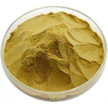 Citrus Aurantium Extract Powder 0.1%