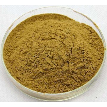 Citrus Aurantium Extract Powder 6%