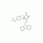 Fmoc-Tyr(tBu)-OH