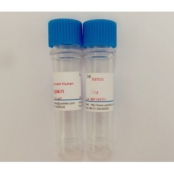 Recombinant Human Trypsin,Cas:9002-07-7 