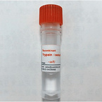 recombinant trypsin