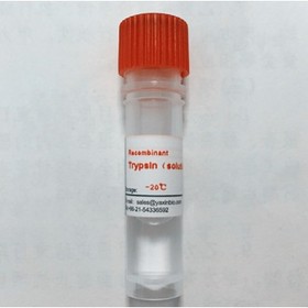 recombinant trypsin