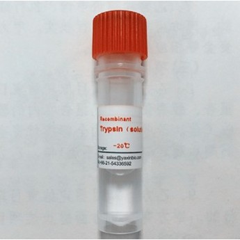 recombinant trypsin