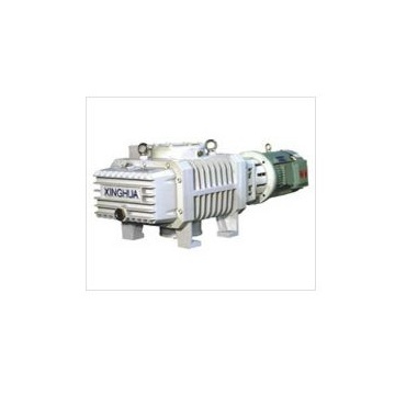 ZJC/ZJPC Magnetic Force Roots Vacuum Pumps
ZJPC300C