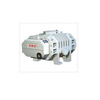 Air-Cooling Roots Vacuum Pump
ZJQ600