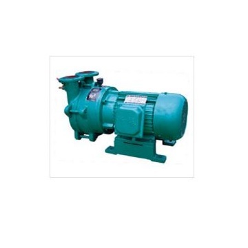 Water Ring Vacuum PumpSK-0.8B