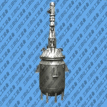 Stainless steel reactor 1