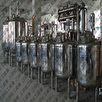 Stainless steel reactor 5