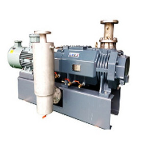 RMV dry variable pitch screw vacuum pump