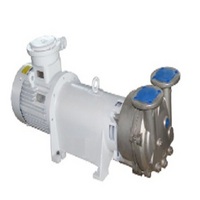 2BV water ring vacuum pump