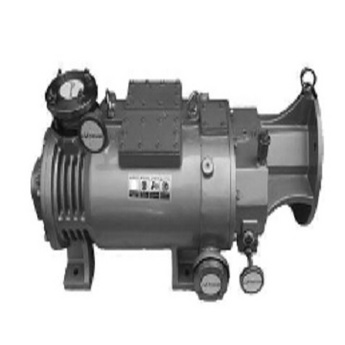 RMD dry variable pitch screw vacuum pump