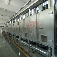 Dehydrated vegetable and fruit production line