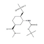 Carbamic acid, N-[(1R,2R,5S)-5-[(dimethylamino)carbonyl]-2-[(methylsulfonyl)oxy]cyclohexyl]-, 1,1-di