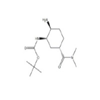 tert-Butyl [(1R,2S,5S)-2-amino-5-[(dimethylamino)carbonyl]cyclohexyl]carbamate