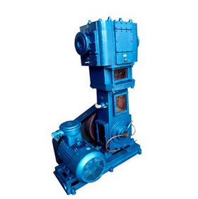 Wlw-b oil - free vertical vacuum pump