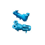 2BV water ring vacuum pump