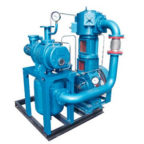 WLZJ non - oil reciprocating roots vacuum pump unit