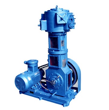 Wlw-c oil - free vertical vacuum pump