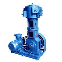 Wlw-c oil - free vertical vacuum pump