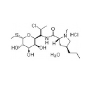 Clindamycin alcoholate