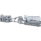JDZ260LP Automatic high speed alu-pvc blister-cartoning production line