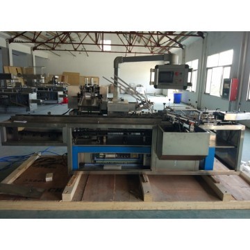 DZH-100 Horizontal Blister Sheet Cartoning Machine