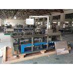 DZH-100 Horizontal Blister Sheet Cartoning Machine