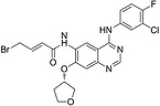 Afatinib Impurity O