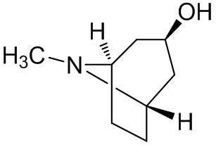 Atropine Impurity 7