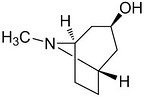 Atropine Impurity 7