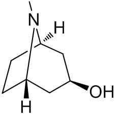 Atropine Impurity 8