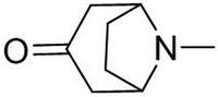 Atropine Impurity 9