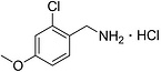 Avanafil Impurity 4