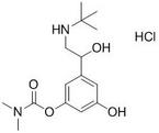 Bambuterol Impurity C (EP)