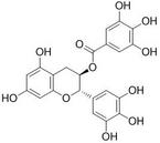 (-)-Gallocatechin Gallate