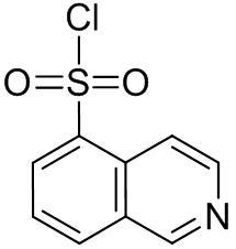 Isoquinoline Impurity 6