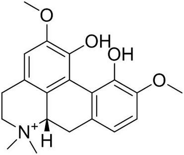 Magnoflorine