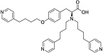 Tirofiban Impurity 11