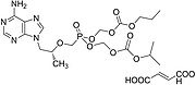 Tenofovir Disoproxil Fumarate Impurity H