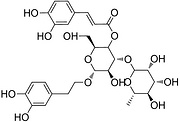 Verbascoside