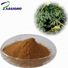 Tribulus Terrestris Extract 40%,90% Saponins/ Herbal Extract