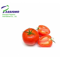 100% Natural Lycopene 20%(Tomato Extract)/Lycopene