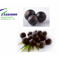 100% Natural Acai Berry Extract powder