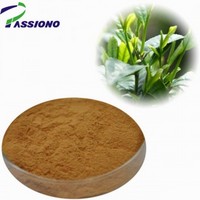 Pure Natural Green Tea Extract /Tea Polyphenol, Catechin, EGCG