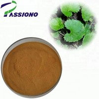 Gotu Kola Extract Powder