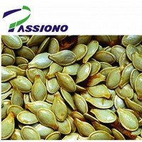 Pumpkin seed Extract 4:1, 10:1 in stock