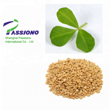 Fenugreek Extract powder